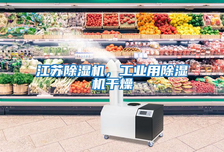 江蘇除濕機，工業(yè)用除濕機干燥