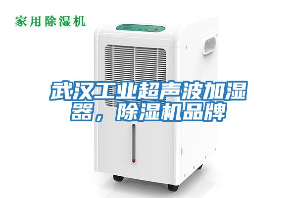 武漢工業(yè)超聲波加濕器，除濕機品牌