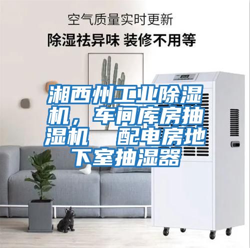 湘西州工業(yè)除濕機，車間庫房抽濕機  配電房地下室抽濕器