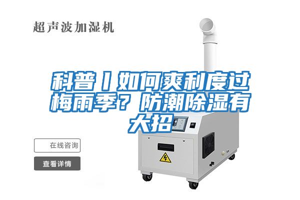科普丨如何爽利度過梅雨季？防潮除濕有大招