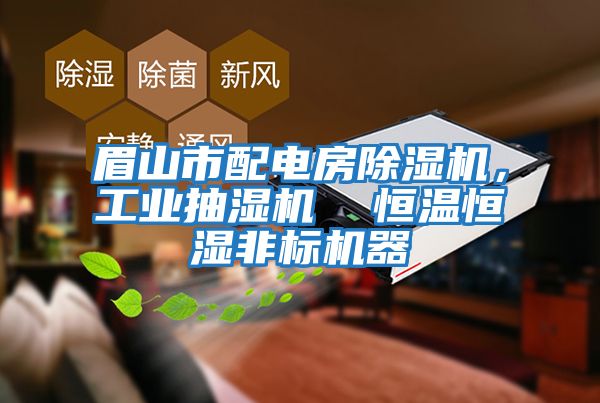 眉山市配電房除濕機(jī)，工業(yè)抽濕機(jī)  恒溫恒濕非標(biāo)機(jī)器