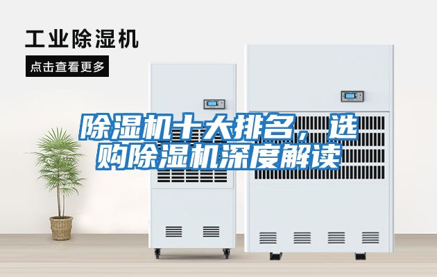 除濕機(jī)十大排名，選購除濕機(jī)深度解讀