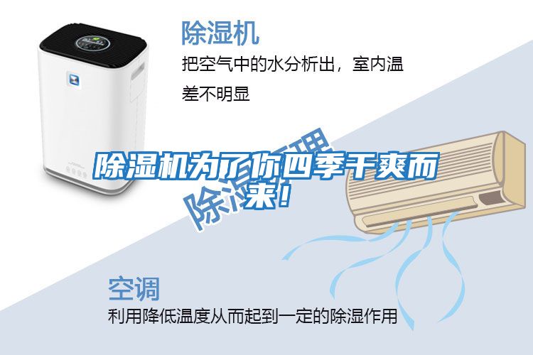 除濕機為了你四季干爽而來！