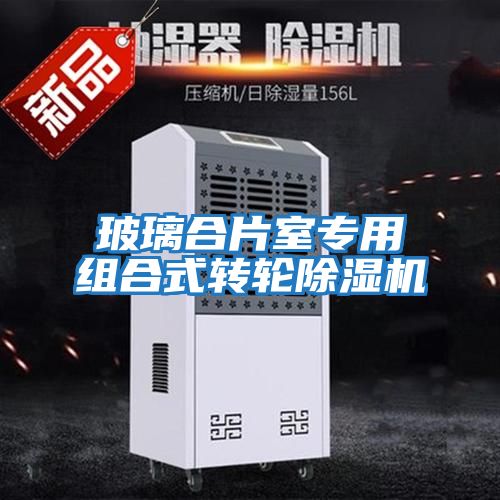 玻璃合片室專(zhuān)用組合式轉(zhuǎn)輪除濕機(jī)