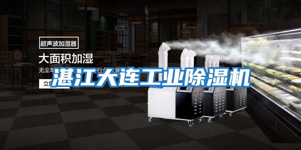 湛江大連工業除濕機