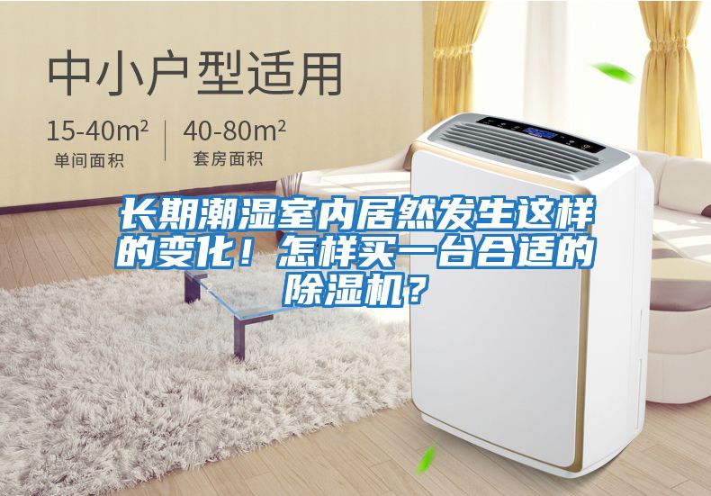 長期潮濕室內居然發生這樣的變化！怎樣買一臺合適的除濕機？