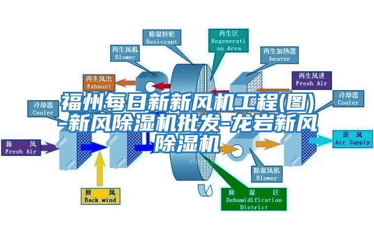 福州每日新新風機工程(圖)-新風除濕機批發-龍巖新風除濕機