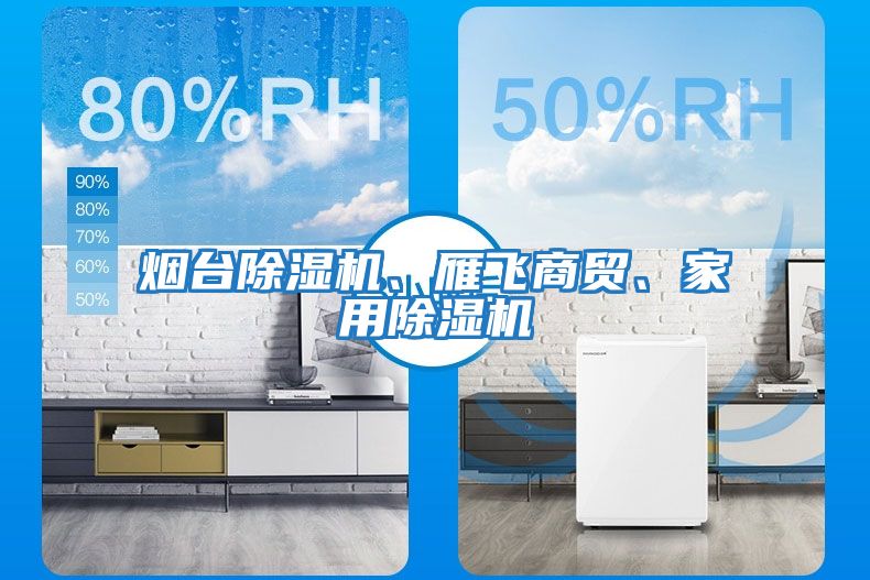 煙臺除濕機、雁飛商貿(mào)、家用除濕機