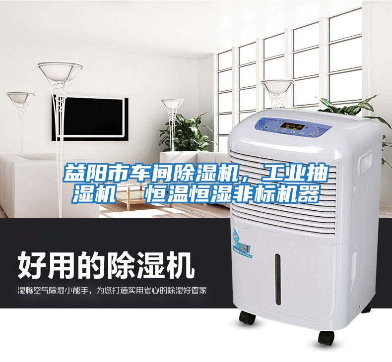 益陽市車間除濕機，工業抽濕機  恒溫恒濕非標機器
