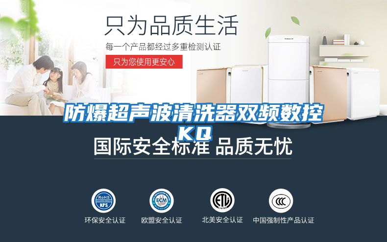 防爆超聲波清洗器雙頻數(shù)控KQ