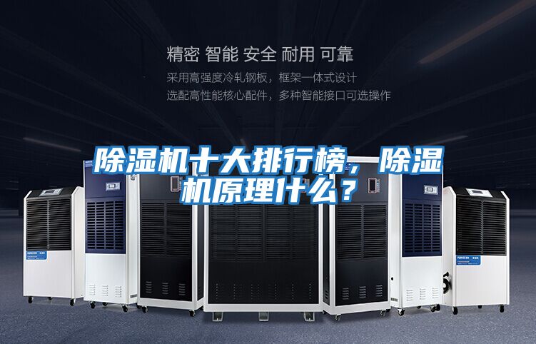 除濕機(jī)十大排行榜，除濕機(jī)原理什么？