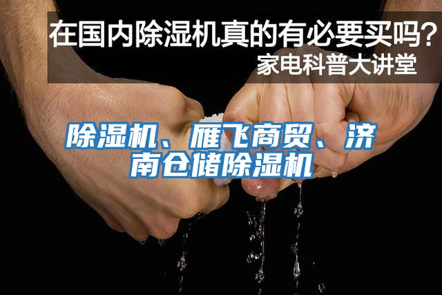 除濕機、雁飛商貿、濟南倉儲除濕機