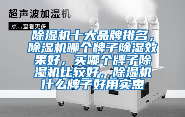 除濕機十大品牌排名，除濕機哪個牌子除濕效果好，買哪個牌子除濕機比較好，除濕機什么牌子好用實惠