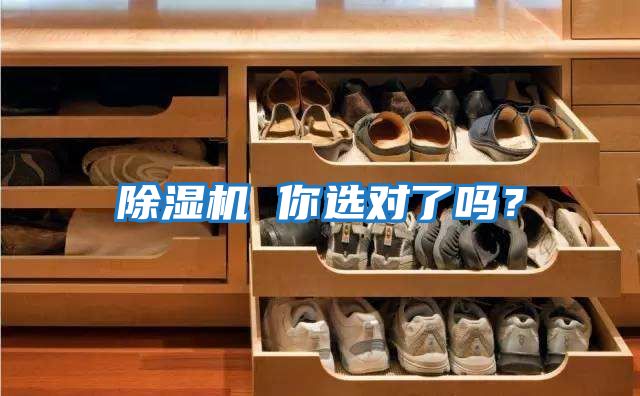 除濕機(jī) 你選對(duì)了嗎？