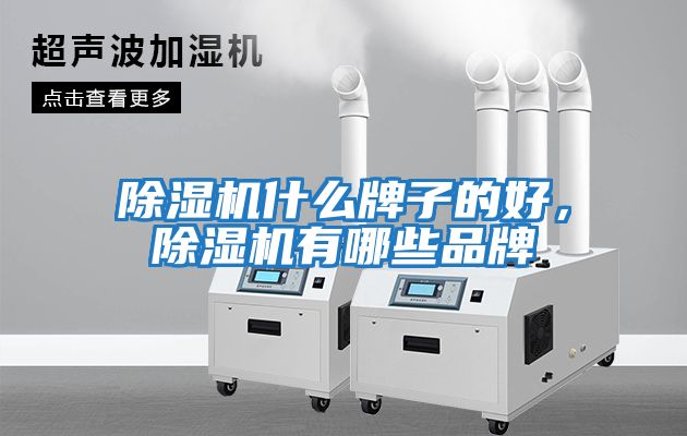 除濕機什么牌子的好，除濕機有哪些品牌