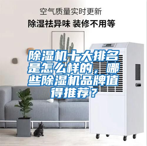 除濕機(jī)十大排名是怎么樣的，哪些除濕機(jī)品牌值得推薦？