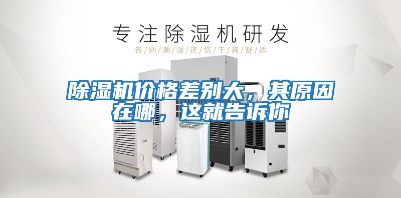 除濕機(jī)價(jià)格差別大，其原因在哪，這就告訴你