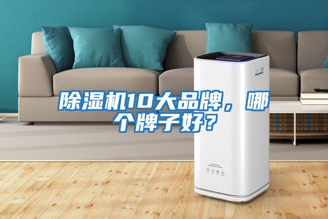除濕機10大品牌，哪個牌子好？