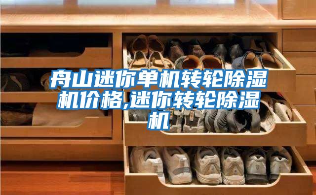 舟山迷你單機(jī)轉(zhuǎn)輪除濕機(jī)價格,迷你轉(zhuǎn)輪除濕機(jī)