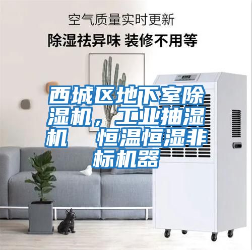 西城區(qū)地下室除濕機，工業(yè)抽濕機  恒溫恒濕非標(biāo)機器