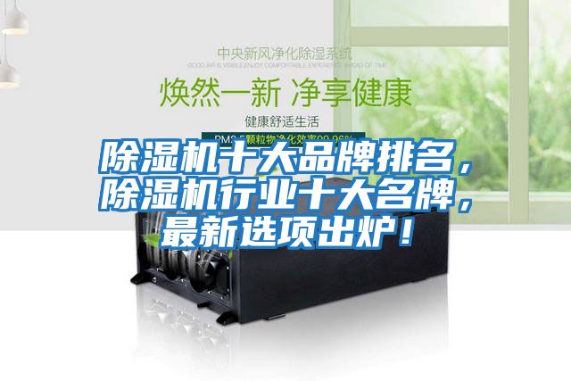 除濕機十大品牌排名，除濕機行業十大名牌，最新選項出爐！