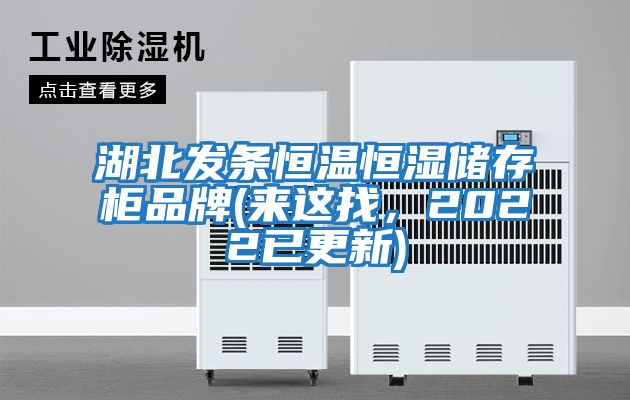 湖北發條恒溫恒濕儲存柜品牌(來這找，2022已更新)