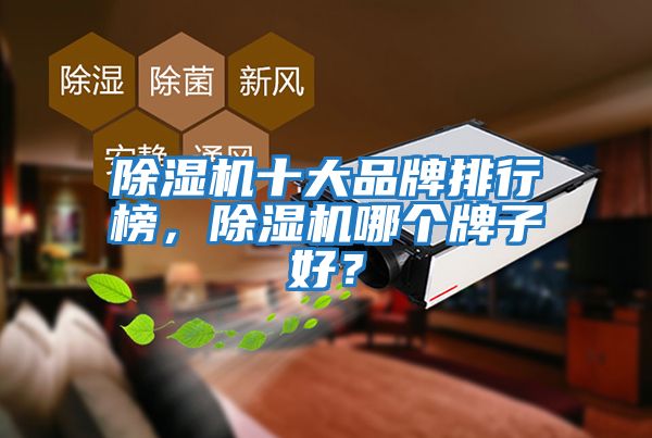 除濕機十大品牌排行榜，除濕機哪個牌子好？