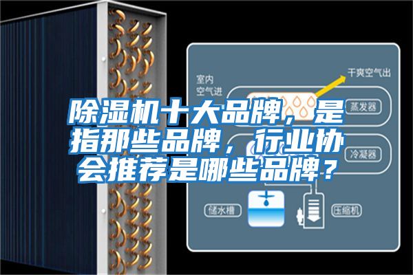 除濕機(jī)十大品牌，是指那些品牌，行業(yè)協(xié)會(huì)推薦是哪些品牌？
