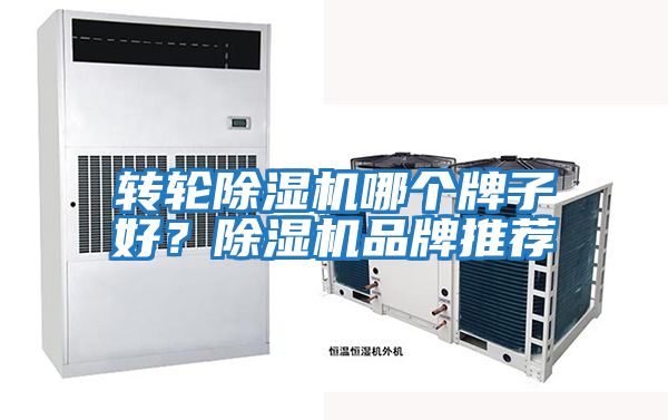 轉輪除濕機哪個牌子好？除濕機品牌推薦