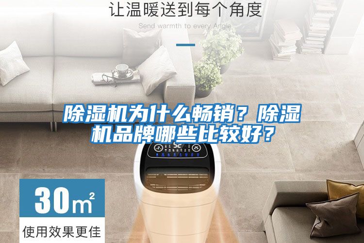 除濕機(jī)為什么暢銷？除濕機(jī)品牌哪些比較好？