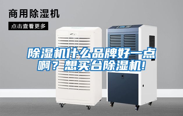 除濕機(jī)什么品牌好一點(diǎn)啊？想買臺(tái)除濕機(jī)!
