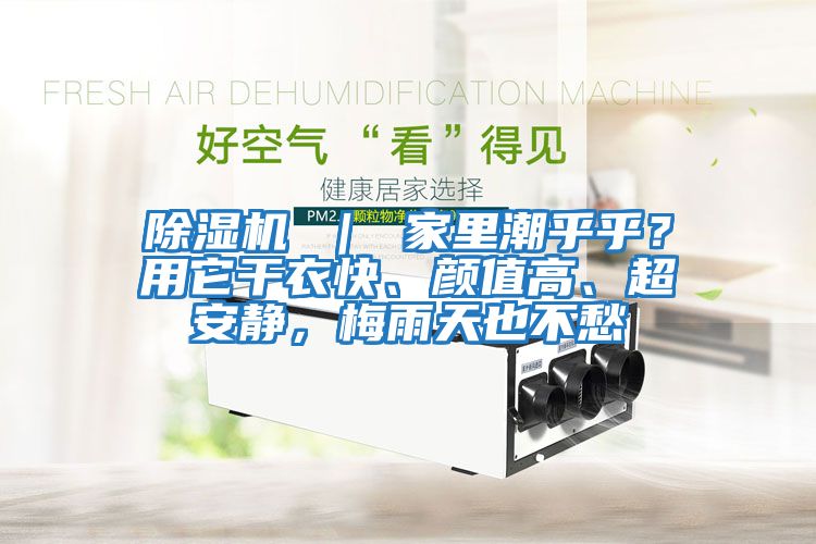 除濕機(jī) ｜ 家里潮乎乎？用它干衣快、顏值高、超安靜，梅雨天也不愁