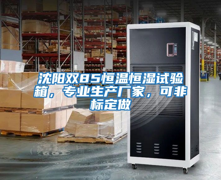 沈陽雙85恒溫恒濕試驗箱，專業生產廠家，可非標定做