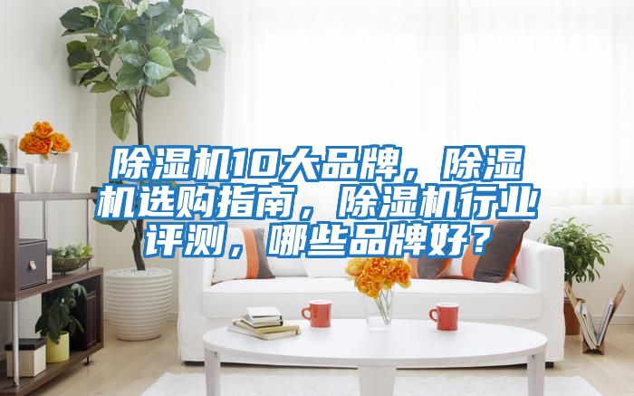 除濕機10大品牌，除濕機選購指南，除濕機行業評測，哪些品牌好？