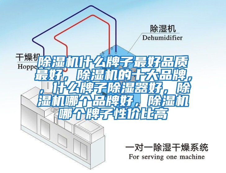除濕機什么牌子最好品質(zhì)最好，除濕機的十大品牌，，什么牌子除濕器好，除濕機哪個品牌好，除濕機哪個牌子性價比高