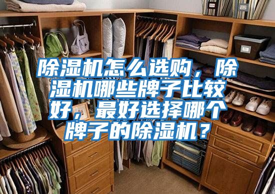 除濕機(jī)怎么選購(gòu)，除濕機(jī)哪些牌子比較好，最好選擇哪個(gè)牌子的除濕機(jī)？