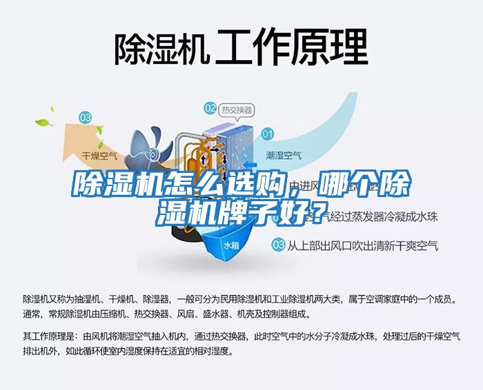 除濕機(jī)怎么選購(gòu)，哪個(gè)除濕機(jī)牌子好？