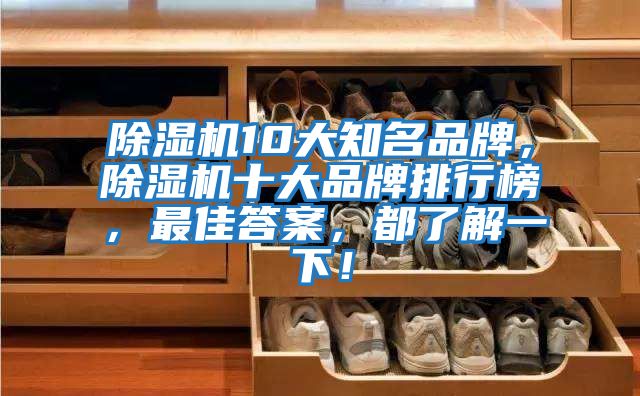 除濕機10大知名品牌，除濕機十大品牌排行榜，最佳答案，都了解一下！