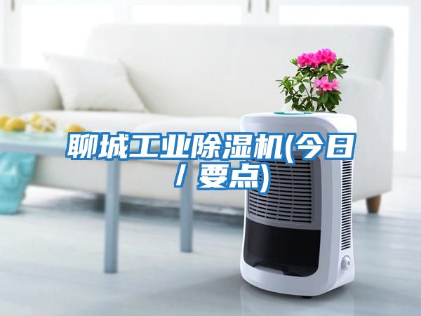 聊城工業(yè)除濕機(jī)(今日／要點)