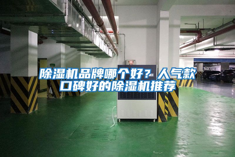 除濕機品牌哪個好？人氣款口碑好的除濕機推薦