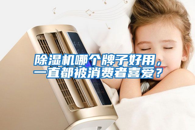 除濕機(jī)哪個牌子好用，一直都被消費(fèi)者喜愛？