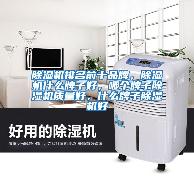除濕機(jī)排名前十品牌，除濕機(jī)什么牌子好，哪個(gè)牌子除濕機(jī)質(zhì)量好，什么牌子除濕機(jī)好