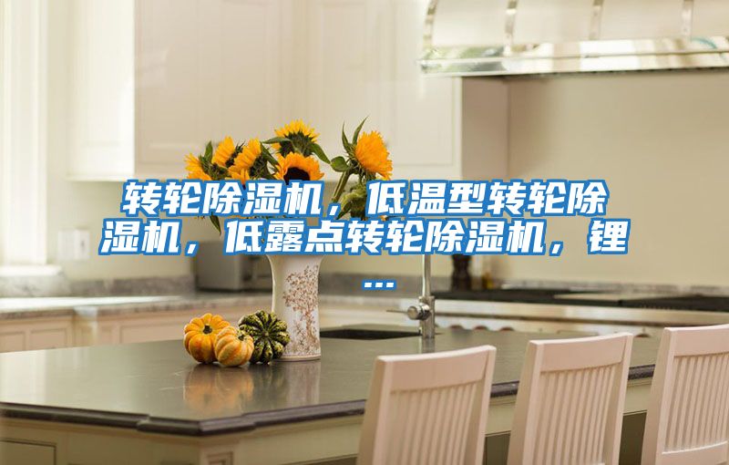 轉輪除濕機，低溫型轉輪除濕機，低露點轉輪除濕機，鋰 ...