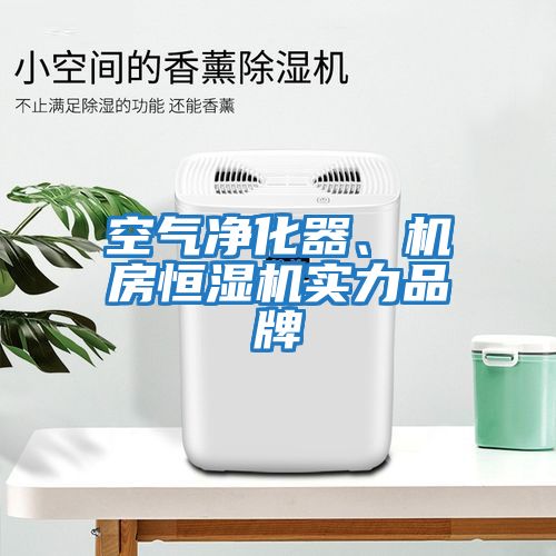空氣凈化器、機房恒濕機實力品牌