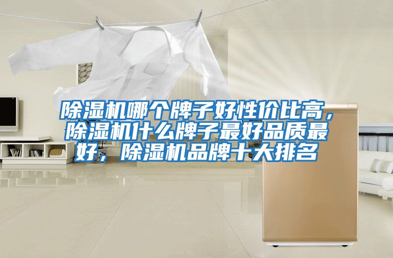 除濕機哪個牌子好性價比高，除濕機什么牌子最好品質(zhì)最好，除濕機品牌十大排名