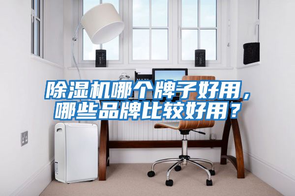 除濕機哪個牌子好用，哪些品牌比較好用？