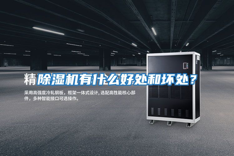 除濕機有什么好處和壞處？