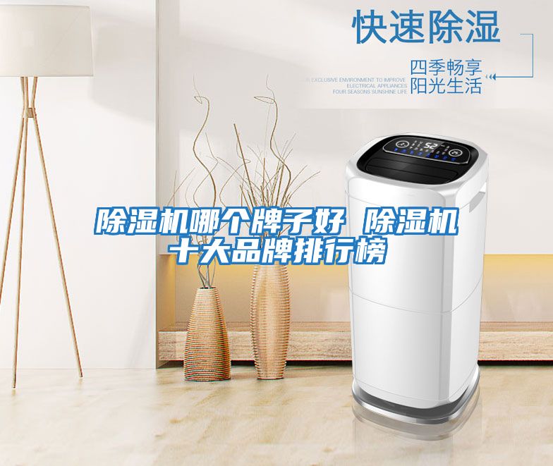除濕機(jī)哪個牌子好 除濕機(jī)十大品牌排行榜