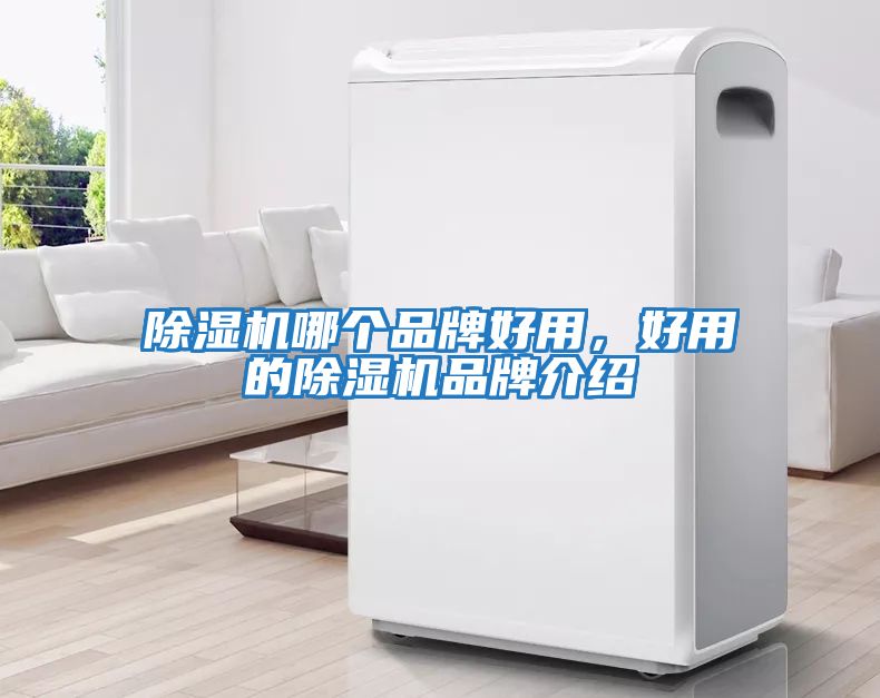 除濕機(jī)哪個品牌好用，好用的除濕機(jī)品牌介紹