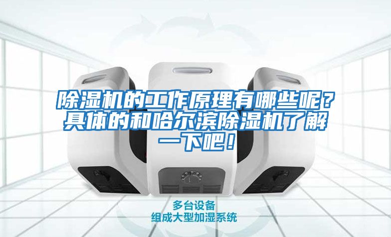 除濕機的工作原理有哪些呢？具體的和哈爾濱除濕機了解一下吧！